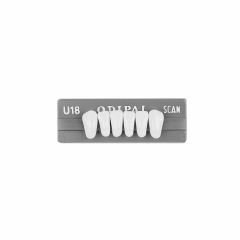Radio Opaque Lower Anteriors